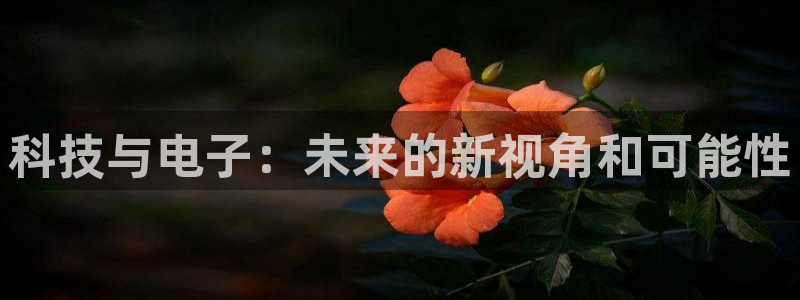 科技与电子：未来的新视角和可能性