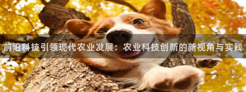 前沿科技引领现代农业发展：农业科技创新的新视角与实践