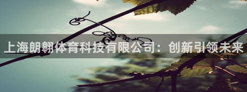 上海朗翱体育科技有限公司：创新引领未来