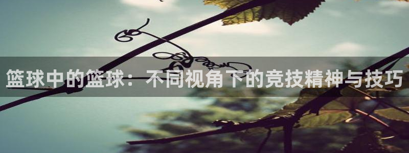 篮球中的篮球：不同视角下的竞技精神与技巧