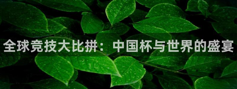 全球竞技大比拼：中国杯与世界的盛宴