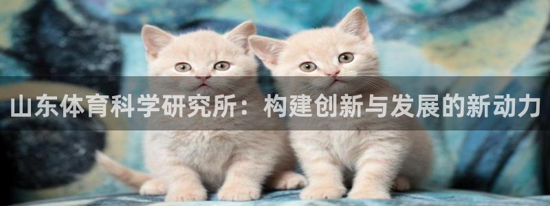 山东体育科学研究所：构建创新与发展的新动力