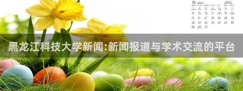 黑龙江科技大学新闻:新闻报道与学术交流的平台