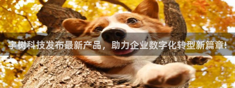 宇树科技发布最新产品，助力企业数字化转型新篇章!