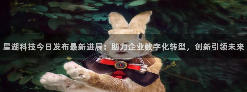 星湖科技今日发布最新进展：助力企业数字化转型，创新引领未来