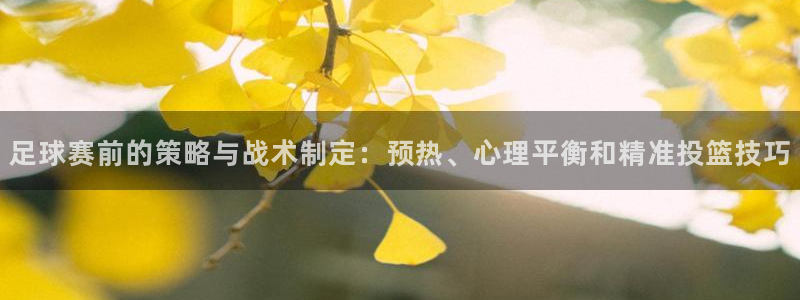 足球赛前的策略与战术制定：预热、心理平衡和精准投篮技巧
