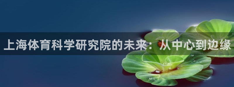 上海体育科学研究院的未来：从中心到边缘