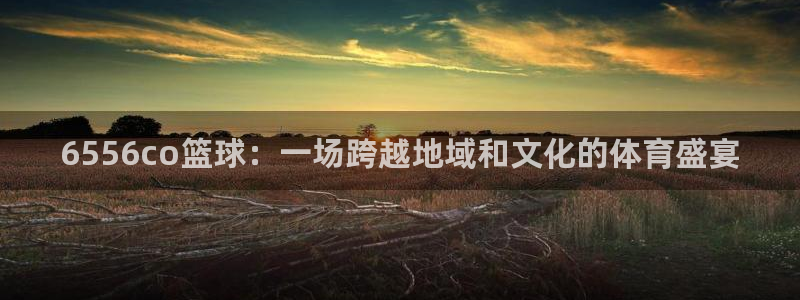 6556co篮球：一场跨越地域和文化的体育盛宴