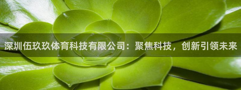 深圳伍玖玖体育科技有限公司：聚焦科技，创新引领未来