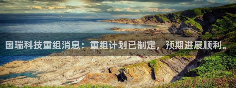 国瑞科技重组消息：重组计划已制定，预期进展顺利。