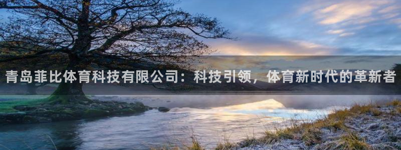 青岛菲比体育科技有限公司：科技引领，体育新时代的革新者