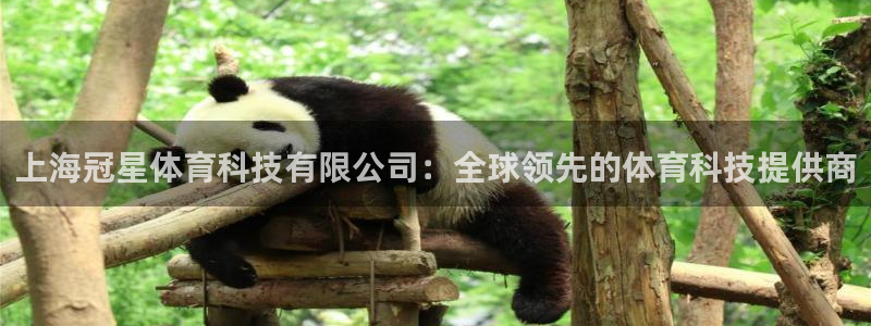 上海冠星体育科技有限公司：全球领先的体育科技提供商