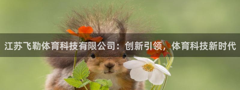 江苏飞勒体育科技有限公司：创新引领，体育科技新时代
