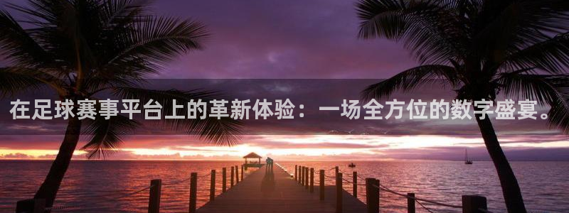 在足球赛事平台上的革新体验：一场全方位的数字盛宴。